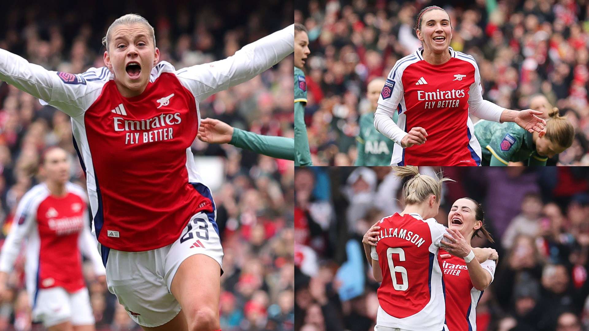 教科书级别 教科书级别