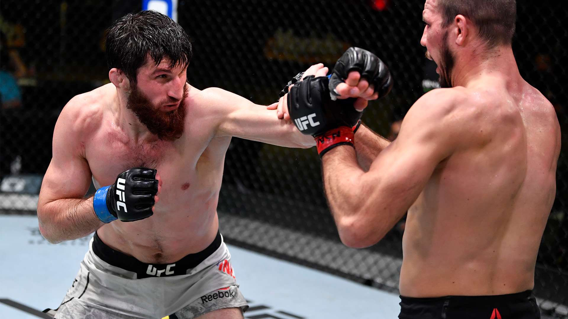 选上周最佳 选上周最佳