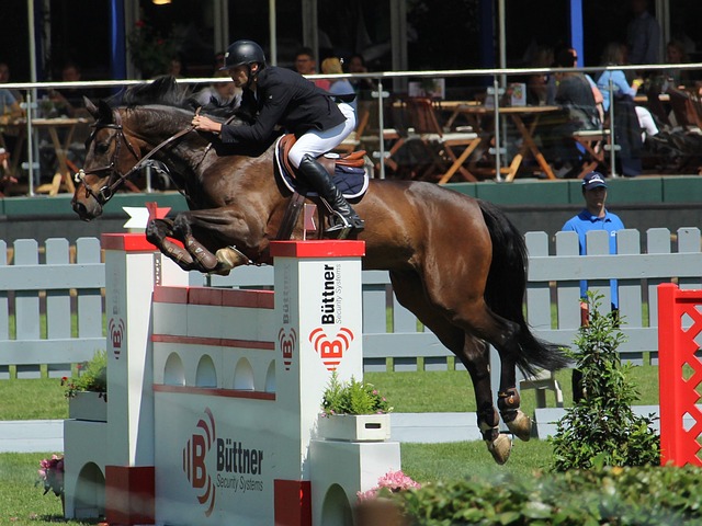 乌迪内斯是 乌迪内斯是