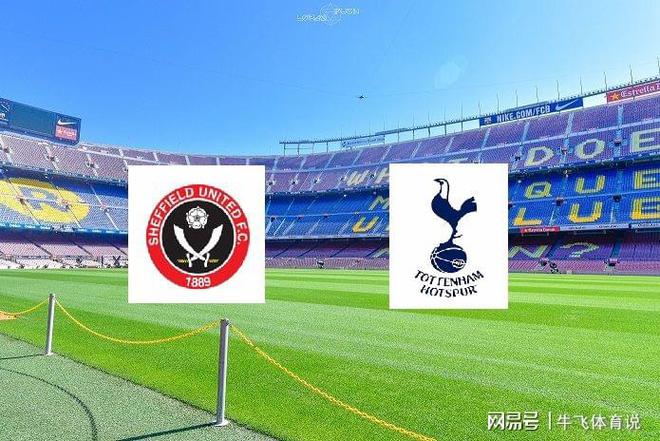 球队胜利的 球队胜利的